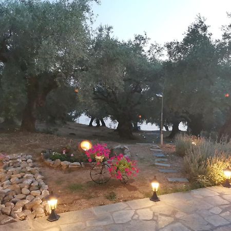קאטו גצאה Christie'S Ground Floor Apartment By The Sea מראה חיצוני תמונה