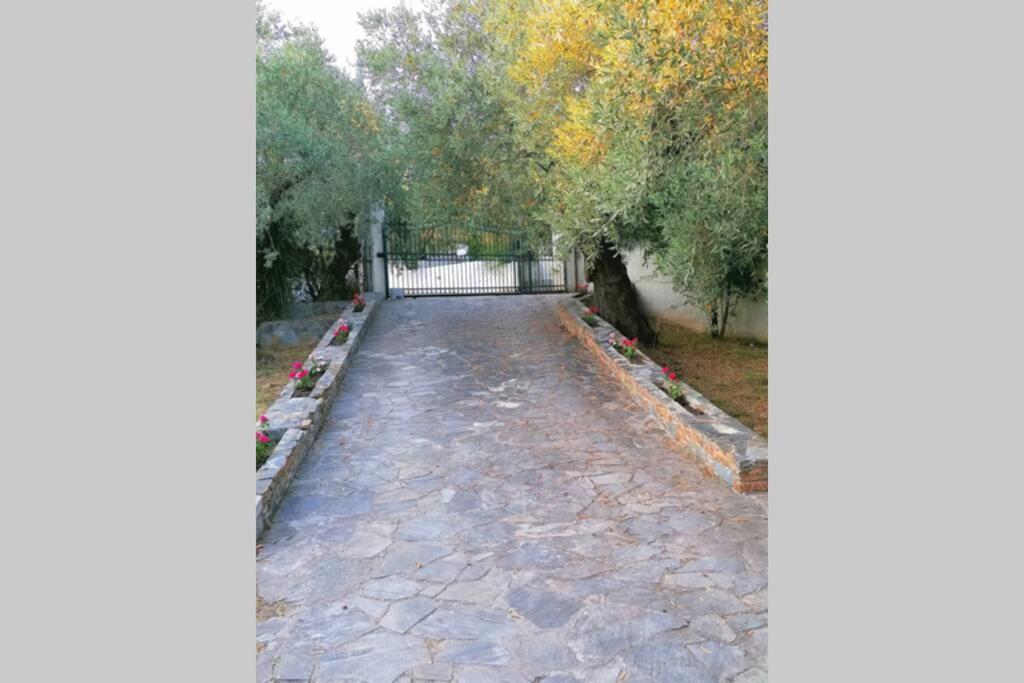 קאטו גצאה Christie'S Ground Floor Apartment By The Sea מראה חיצוני תמונה