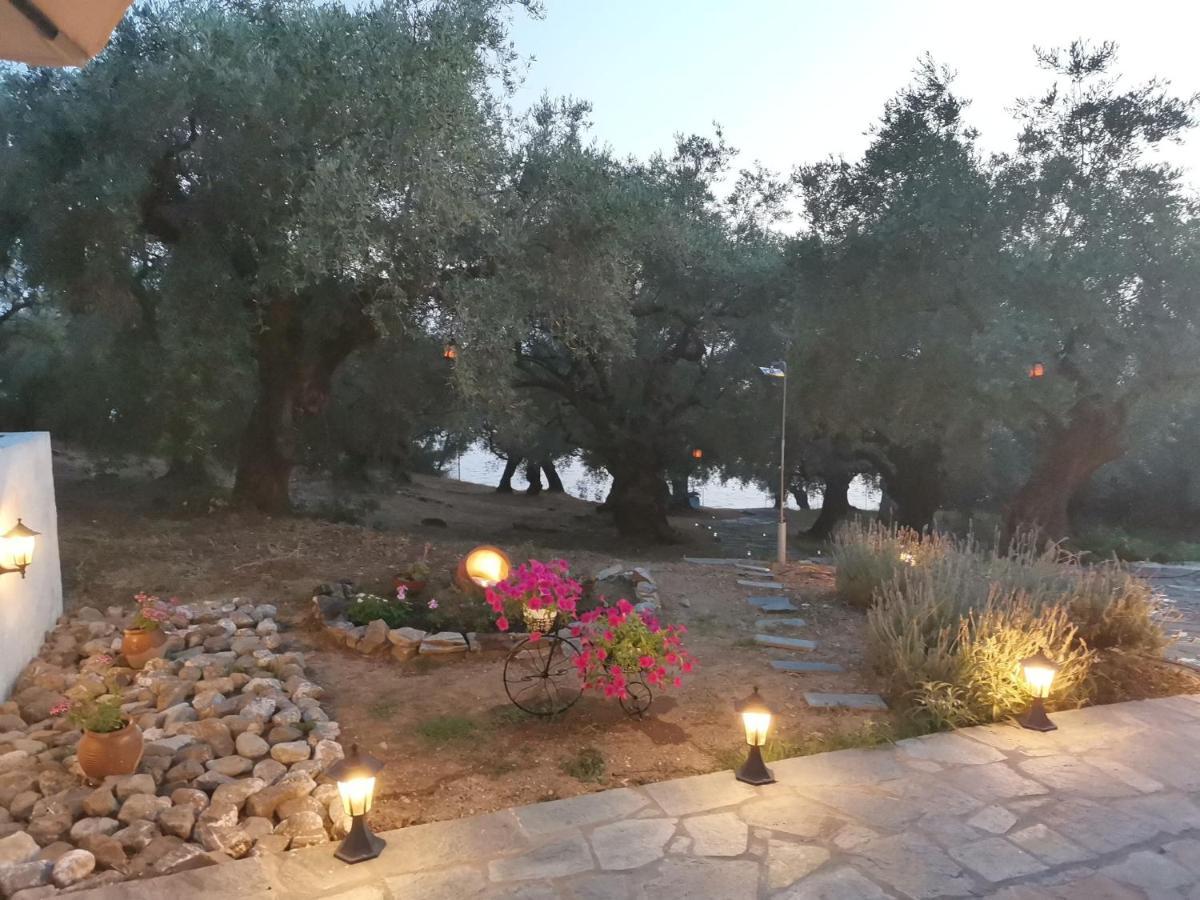 קאטו גצאה Christie'S Ground Floor Apartment By The Sea מראה חיצוני תמונה
